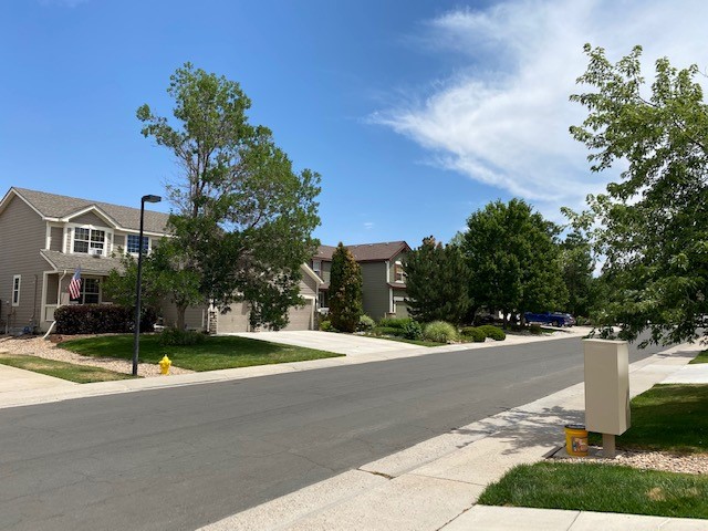 Denver street with homes for article COVID 19 and the Denver Housing Market for newcomers moving to Denver.