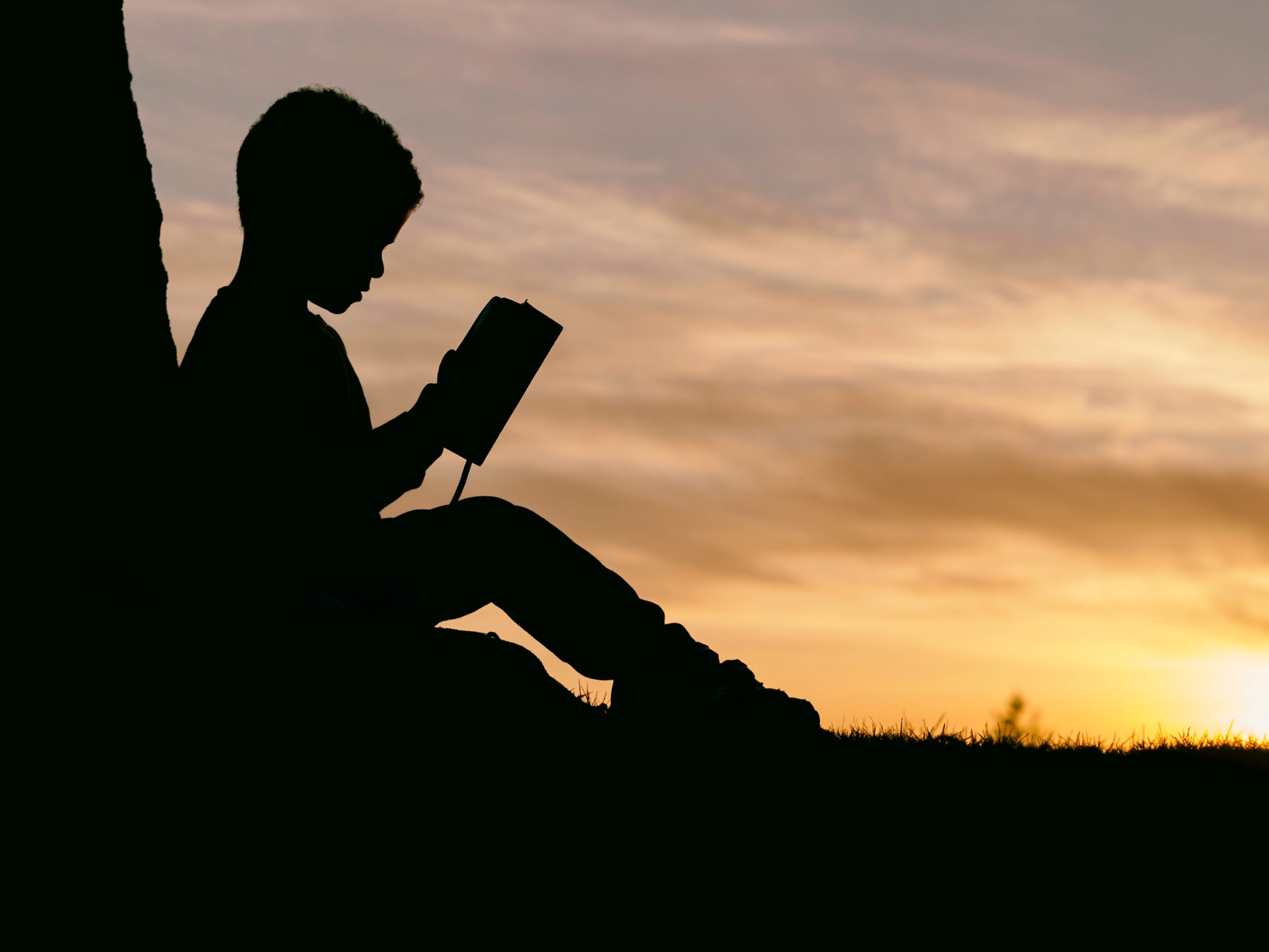 Silhouette of child reading with sunset in background for article Special Education Planning in Denver.