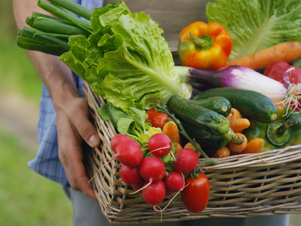 Hands holding basket of fresh produce outdoors.