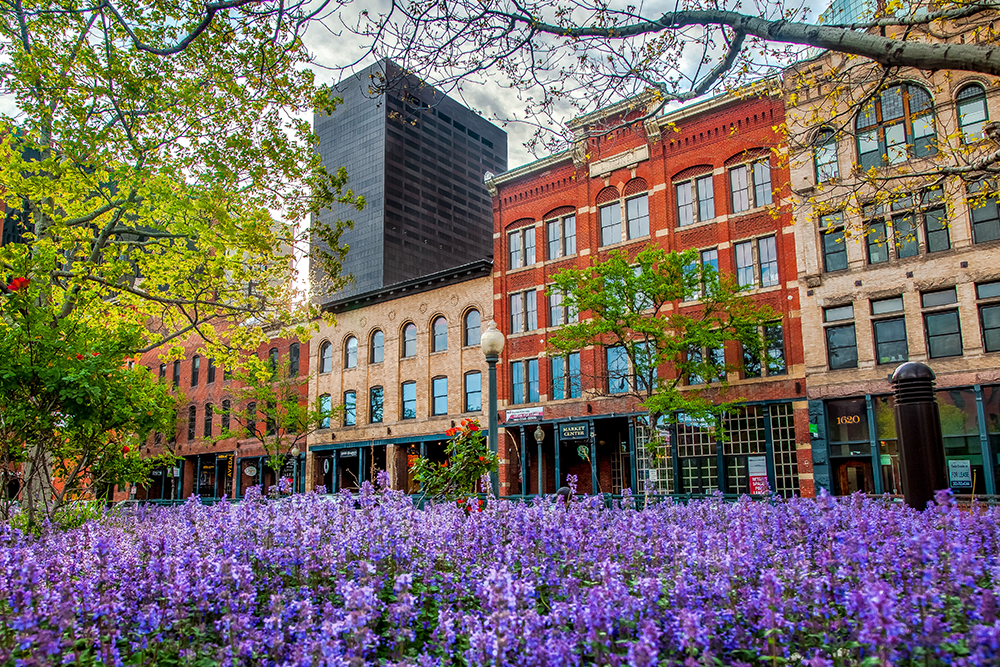 Denver Buildings with bright flower bed in the foreground