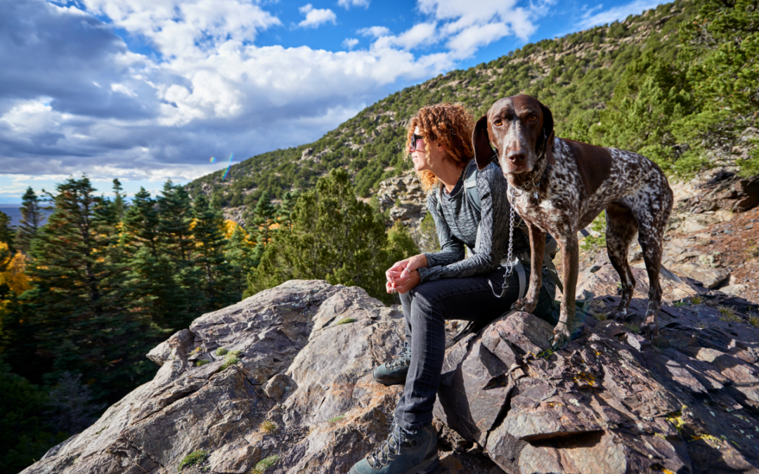 Denver: A Woof-Worthy City for Dog Lovers