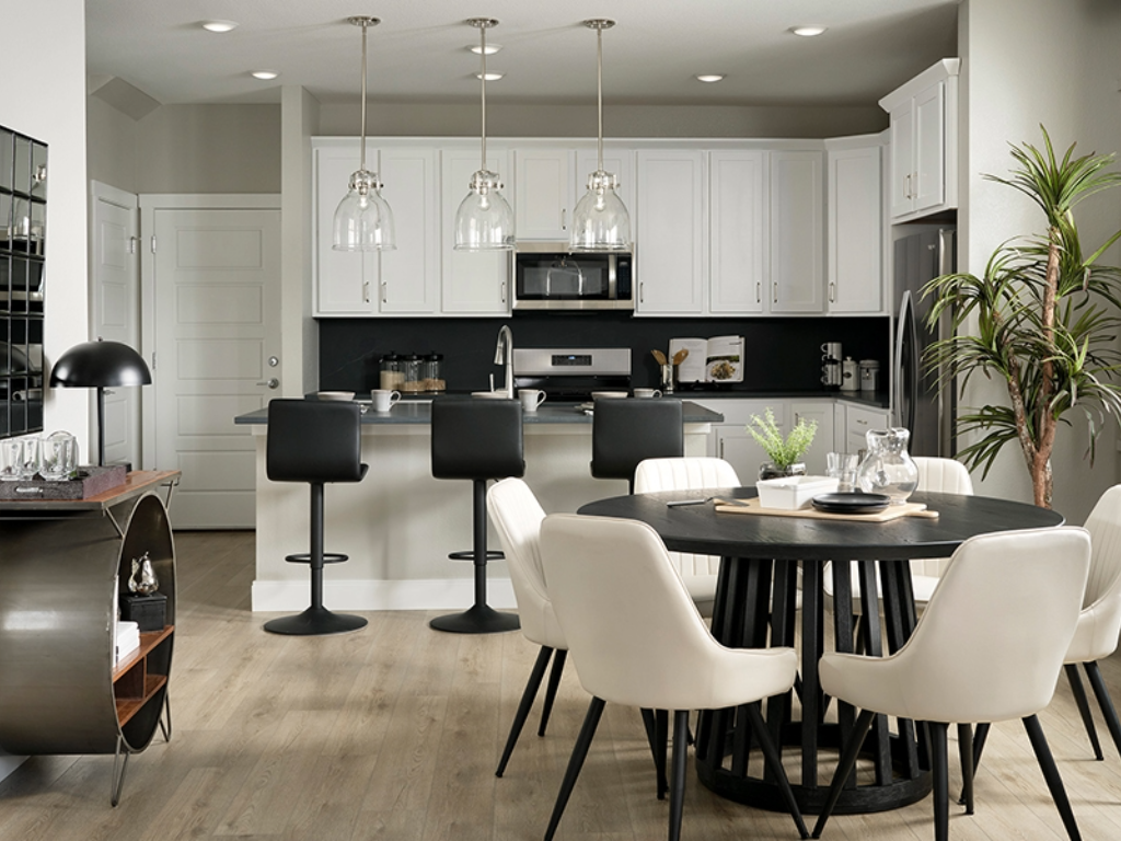 Black and white modern kitchen at Brookfield Residential.