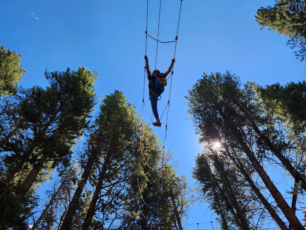 St Anne's student walking of rope ladder high up in the treetops.