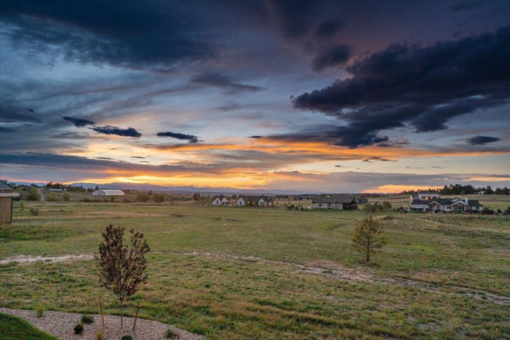 065 DSC00842 1024x683