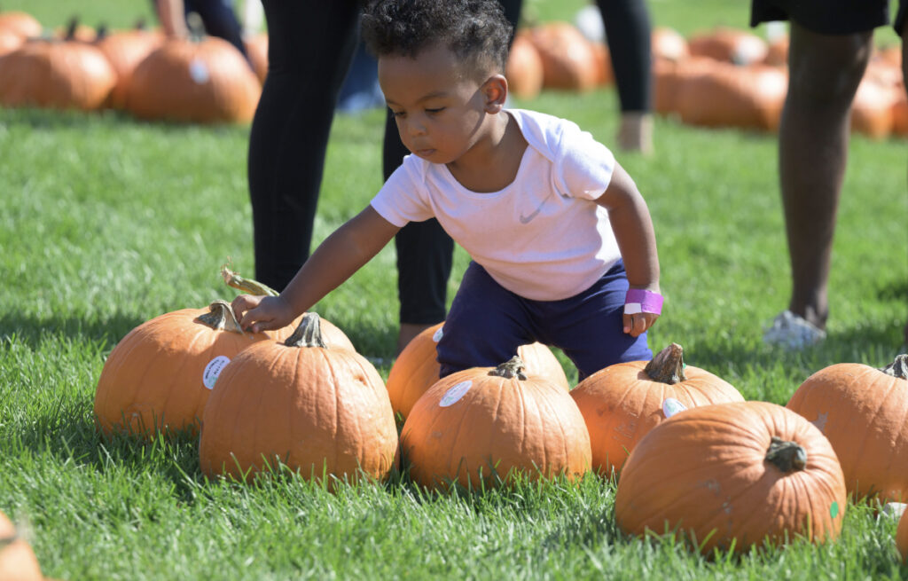 PP PrairieHarvestFest Digital 1024x655