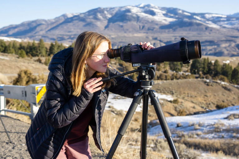 YellowstoneDay3 2 768x512