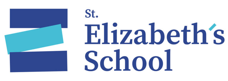 NEWsize logoSE v2 768x273