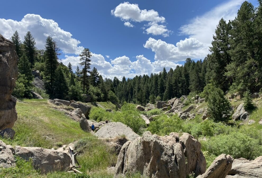 Moving to the Mile High City? With 4 seasons, what is the best time of year in Colorado?