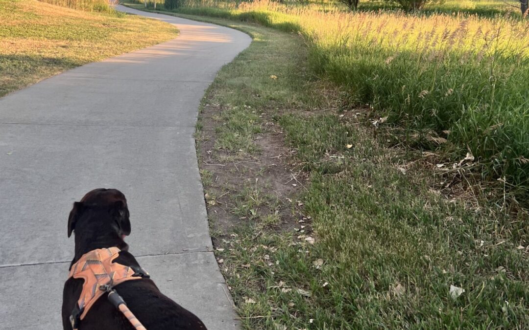 Best Parks and Trails in Denver