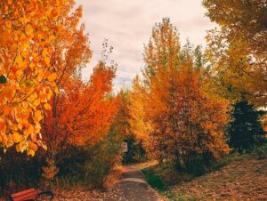 Fall leaves. October events in Denver