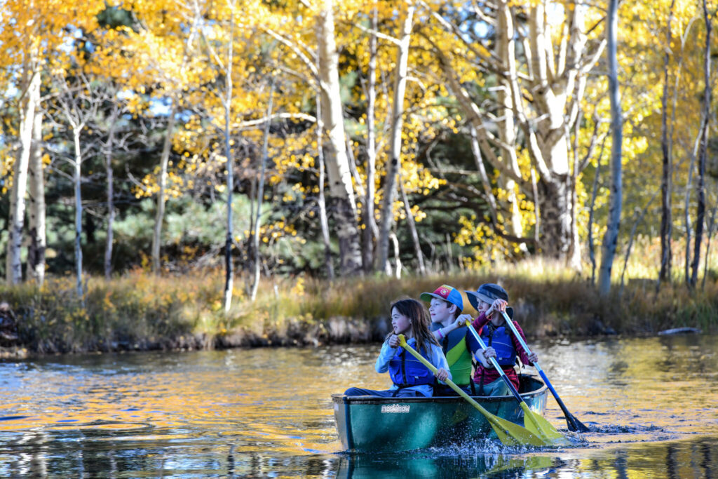 Three students rowing in a small boat on the water through the forest.